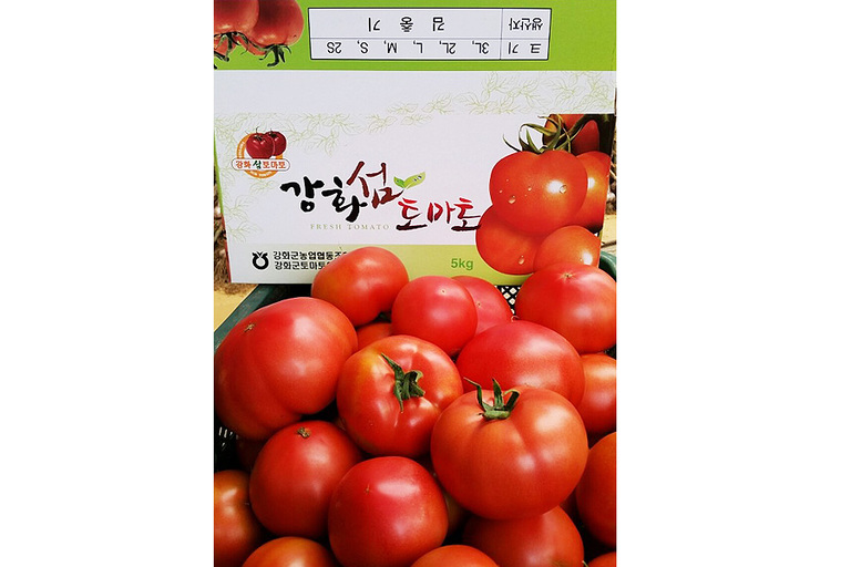 토마토
