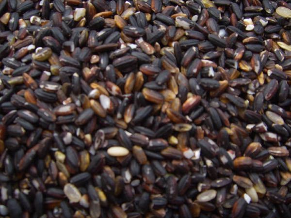 흙미 찹쌀