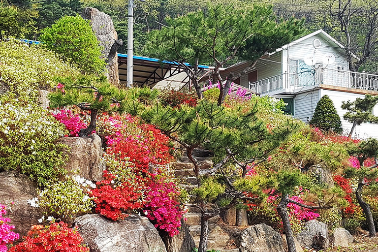 외부전경